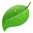 Coda IDE
